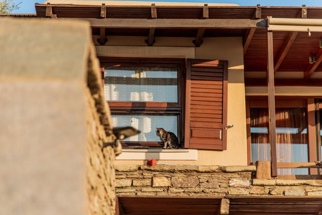 Villa Cavo D' Oro Korissia (Kea) Exterior foto